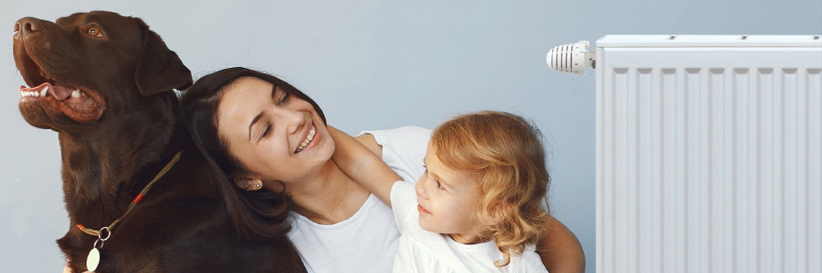 PK-kategoria-headline-stelrad-softline